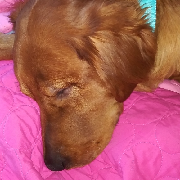 Meet your Posher, Tina - Picture 4 of 7